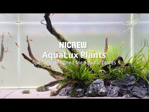 NICREW Full Spectrum Planted LED Aquarium Light