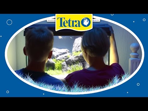 Perfekte Beleuchtung fürs Aquarium: TETRA AquaArt