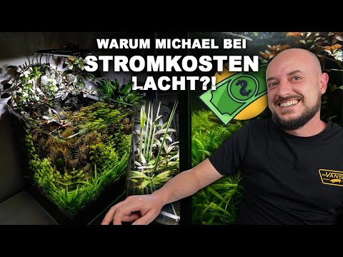 AQUARIUM ohne LAUFENDE KOSTEN?! ... Das ist die Walstad-Methode