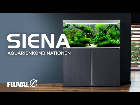 Fluval Siena Aquarienkombination