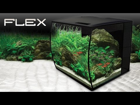 Fluval Flex 9 &amp; 15 US Gal. Aquarium