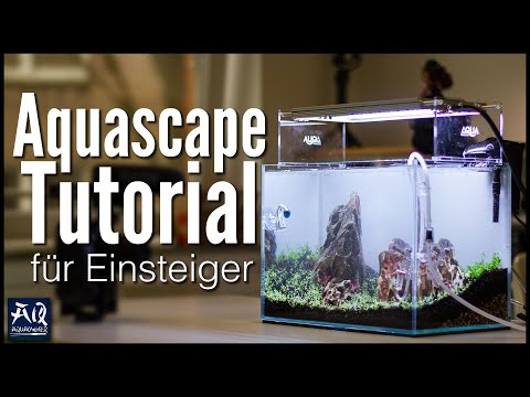 Wie geht Aquascaping? | AquaOwner