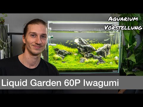 Liquid Garden 60P Iwagumi Aquarium Vorstellung | Liquid Nature