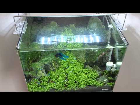 Dennerle scapers Tank 35 L 15w Led