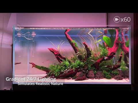 NICREW RGB+W 24/7 LED Aquarium Light with Remote Controller