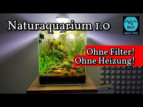 Aufbau und Einrichtung des Naturaquarium 1.0 ohne Filter ohne Heizung - Aquascape Pflanzenaquarium