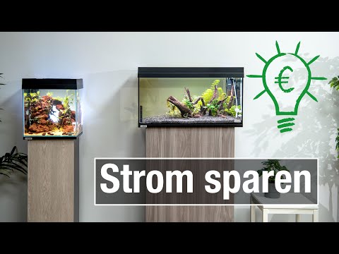 So viel Strom benötigt ein Aquarium | Verbrauch optimieren und berechnen!