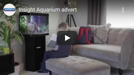  Insight Aquarium