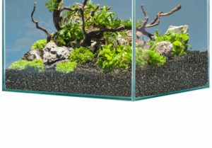 sera Hardscape Shrimp Set  48 l - Steine, Wurzeln und Bodengrund für Garnelenaquarien