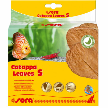 sera Catappa Leaves S 10-15 cm (10St) – Seemandelbaumblätter