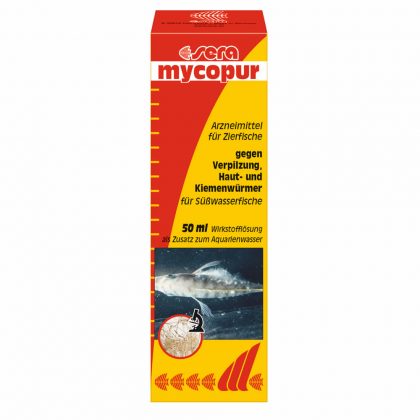 sera mycopur – Arzneimittel für Fische gegen Verpilzungen (Mykosen)