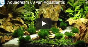 video Aquadream 60 Aquatlantis